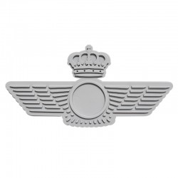 SPANISH AIR FORCE plate